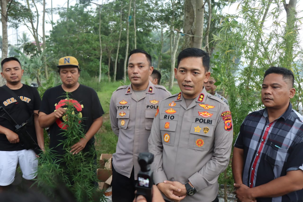 Satuan Fungsi Narkoba Polres Garut Polda Jabar mengungkap dugaan penanaman pohon Ganja.