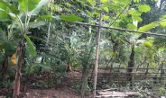 Desa Cinta Wargi Karawang Tak Miliki TPU Inge Ivona Protes Tanah Miliknya Dijadikan TPU